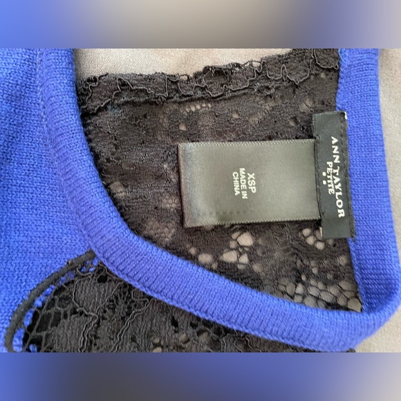 Ann Taylor Royal Blue Sweater Dress with Black Lace Shoulders - Picture 9 of 9